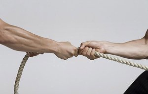 陳巴爾虎旗域名注冊(cè)有限責(zé)任公司